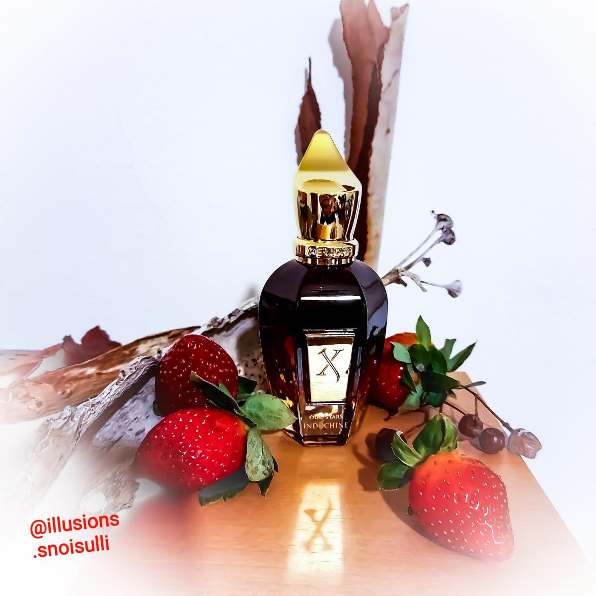 عطر ادکلن ایندوچین زرژوف - Indochine (2019) Xerjoff - بررسی، قیمت و خرید