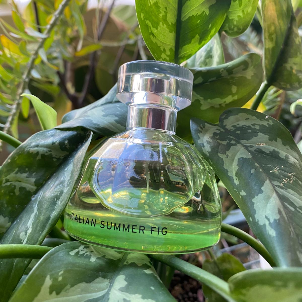 عطر ادکلن ایتالین سامر فیگ د بادی شاپ - Italian Summer Fig The Body Shop - بررسی، قیمت و خرید