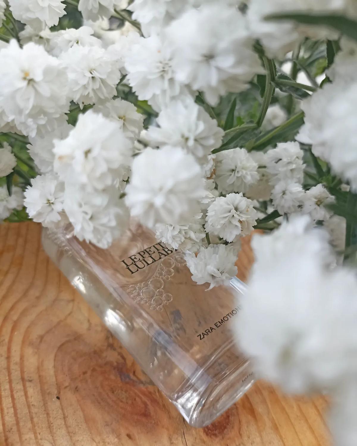 عطر ادکلن لو پتی لالابی زارا - Le Petit Lullaby Zara - بررسی، قیمت و خرید