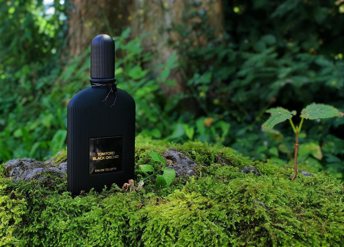 عطر ادکلن بِلَک اُرکید اُ دِ تویلت تام فورد - Black Orchid Eau de Toilette (2023) Tom Ford - بررسی، قیمت و خرید