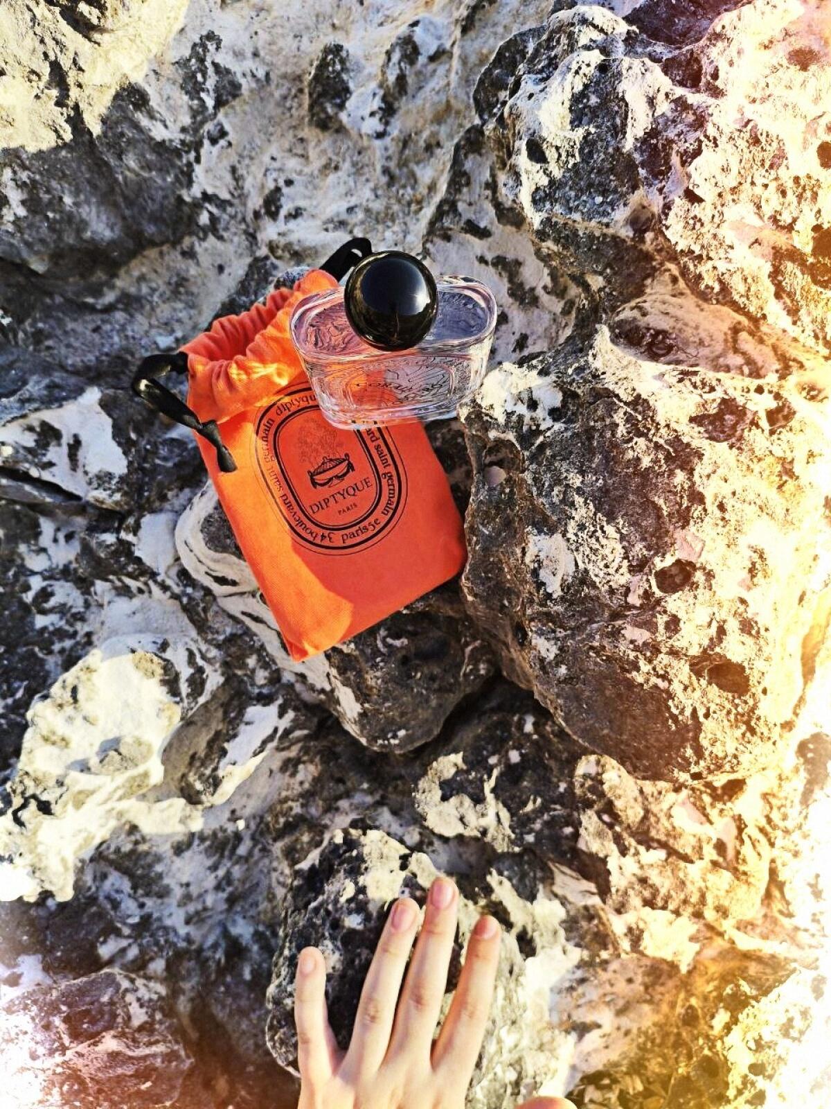 عطر ادکلن کورال اوکسورو دیپتیک - Corail Oscuro Diptyque - بررسی، قیمت و خرید