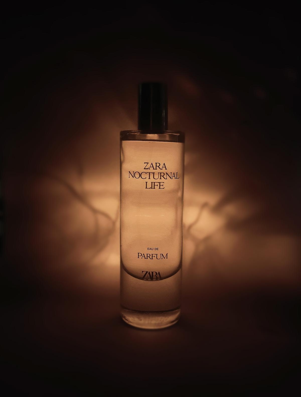 عطر ادکلن ناکترنال لایف زارا - Nocturnal Life Zara - بررسی، قیمت و خرید