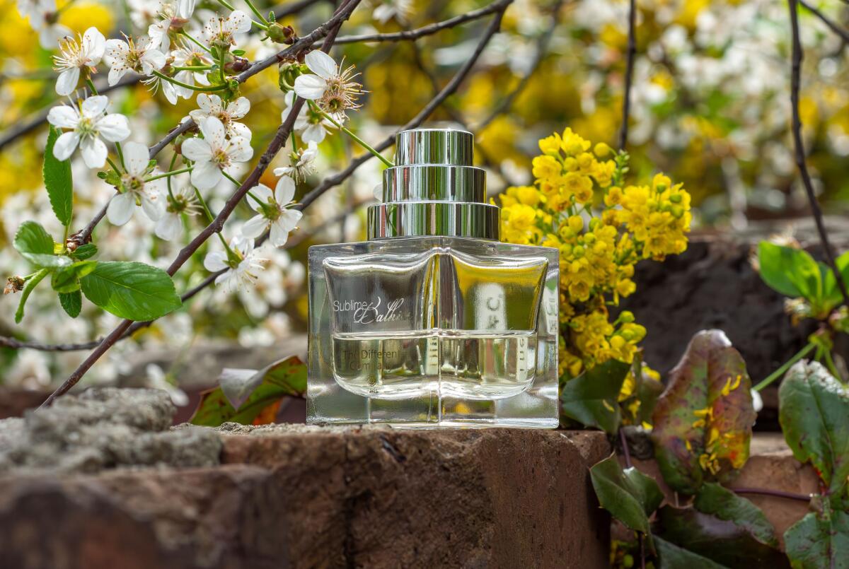 عطر ادکلن سابلیم بالکیس د دیفرنت کامپنی - Sublime Balkiss The Different Company - بررسی، قیمت و خرید