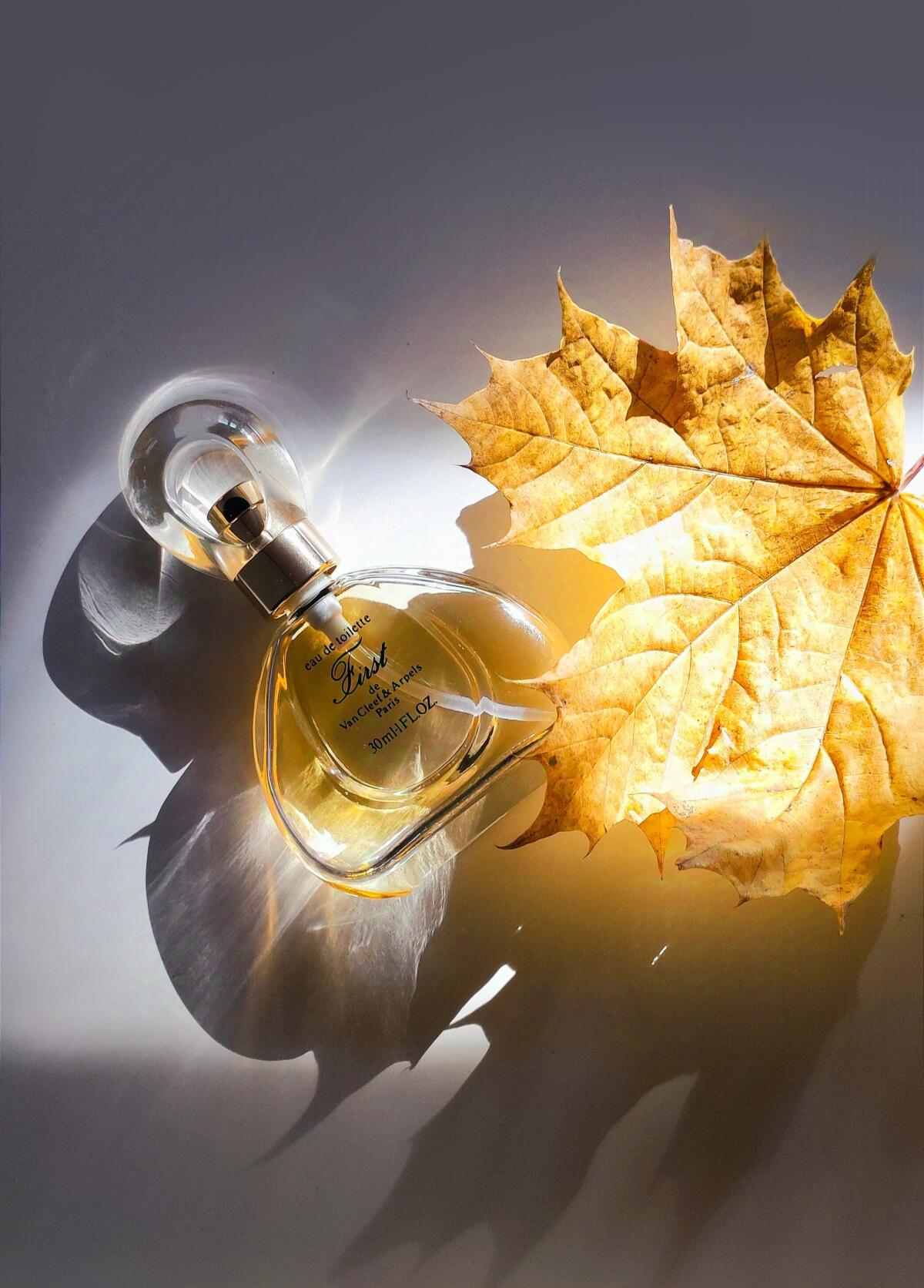 عطر ادکلن فرست ون کلیف اند آرپلس - First Van Cleef & Arpels - بررسی، قیمت و خرید