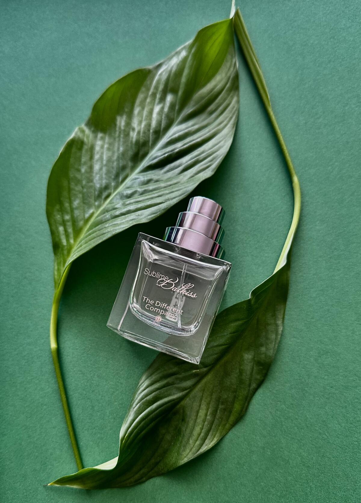 عطر ادکلن سابلیم بالکیس د دیفرنت کامپنی - Sublime Balkiss The Different Company - بررسی، قیمت و خرید