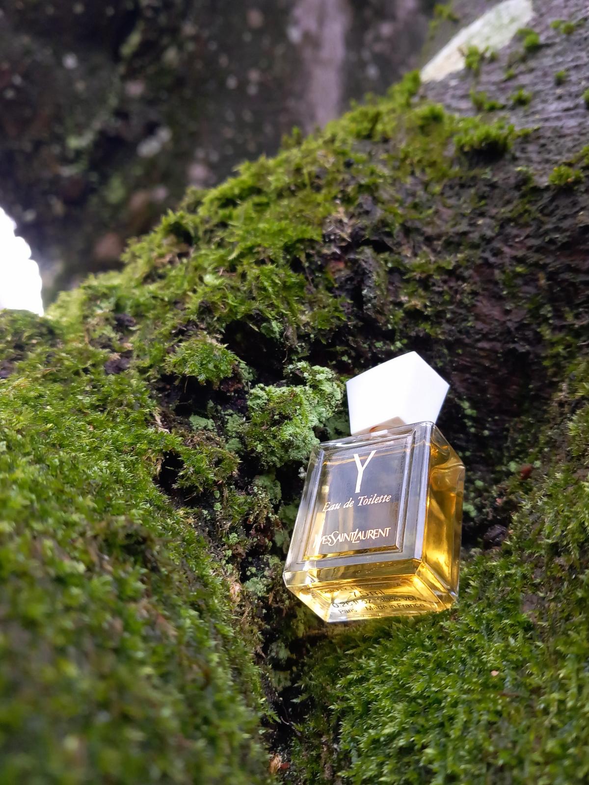 عطر ادکلن وای ایو سن لورن - Y Yves Saint Laurent - بررسی، قیمت و خرید