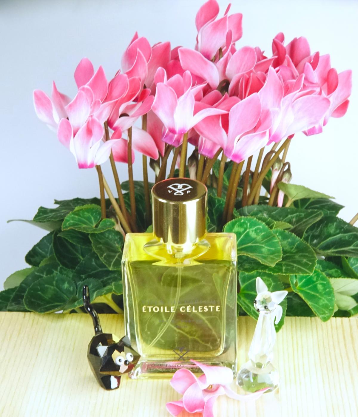 عطر ادکلن اتوال سلست ویلا د پغفوم - Étoile Céleste Villa des Parfums - بررسی، قیمت و خرید