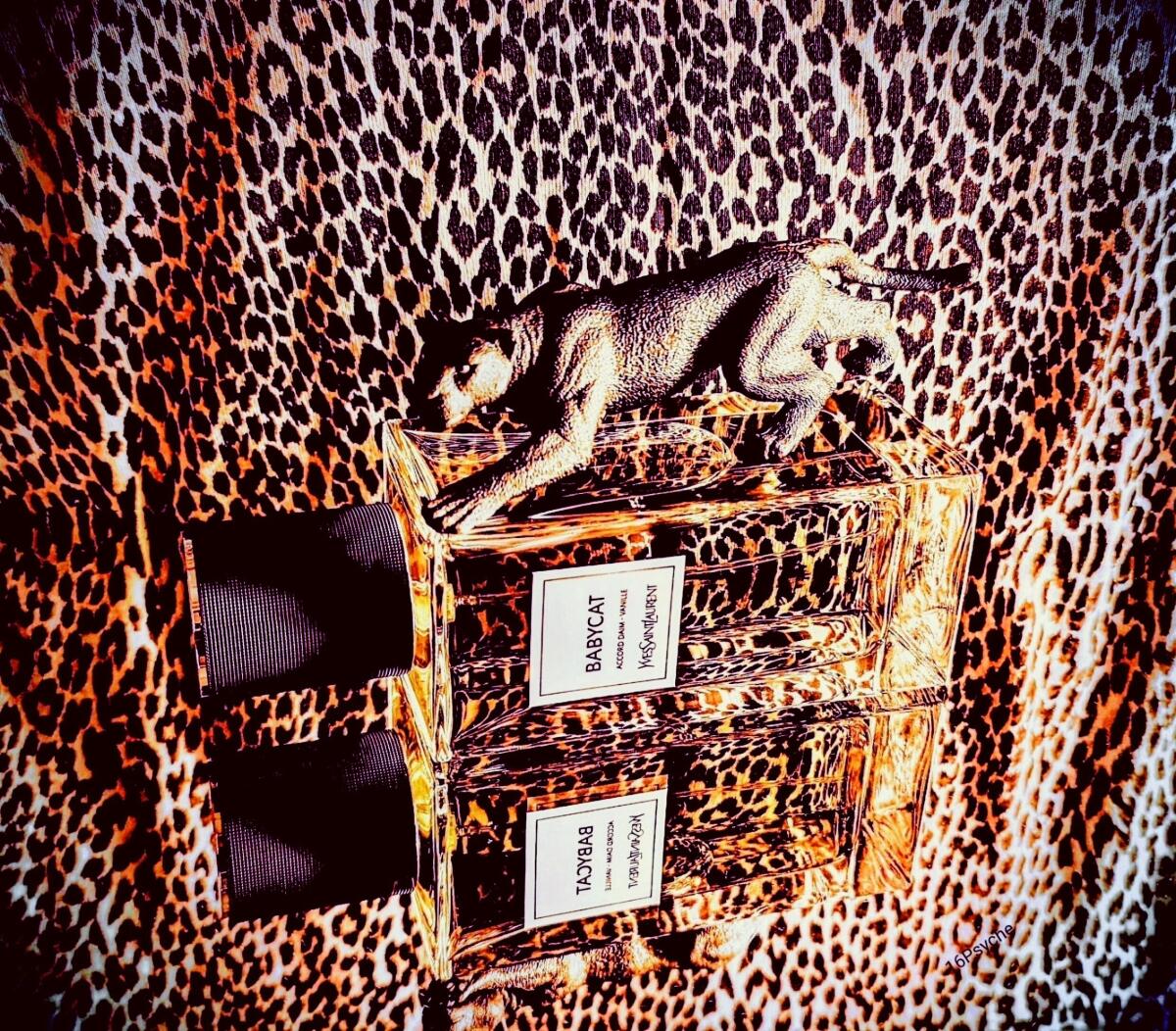 عطر ادکلن بیبیکت ایو سن لورن - Babycat Yves Saint Laurent - بررسی، قیمت و خرید