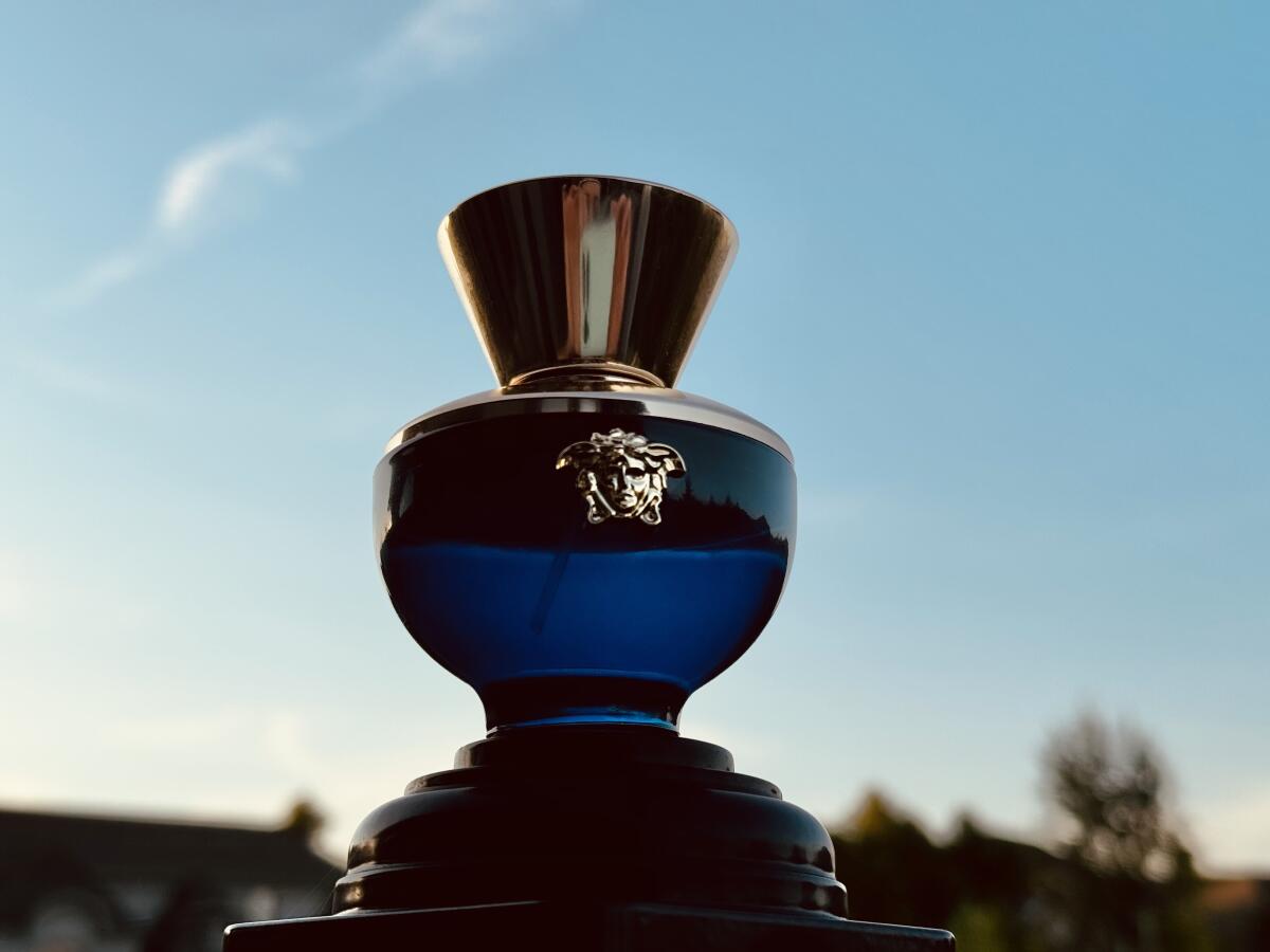 عطر ادکلن ورساچه پور فم دیلان بلو ورساج - Versace Pour Femme Dylan Blue Versace - بررسی، قیمت و خرید