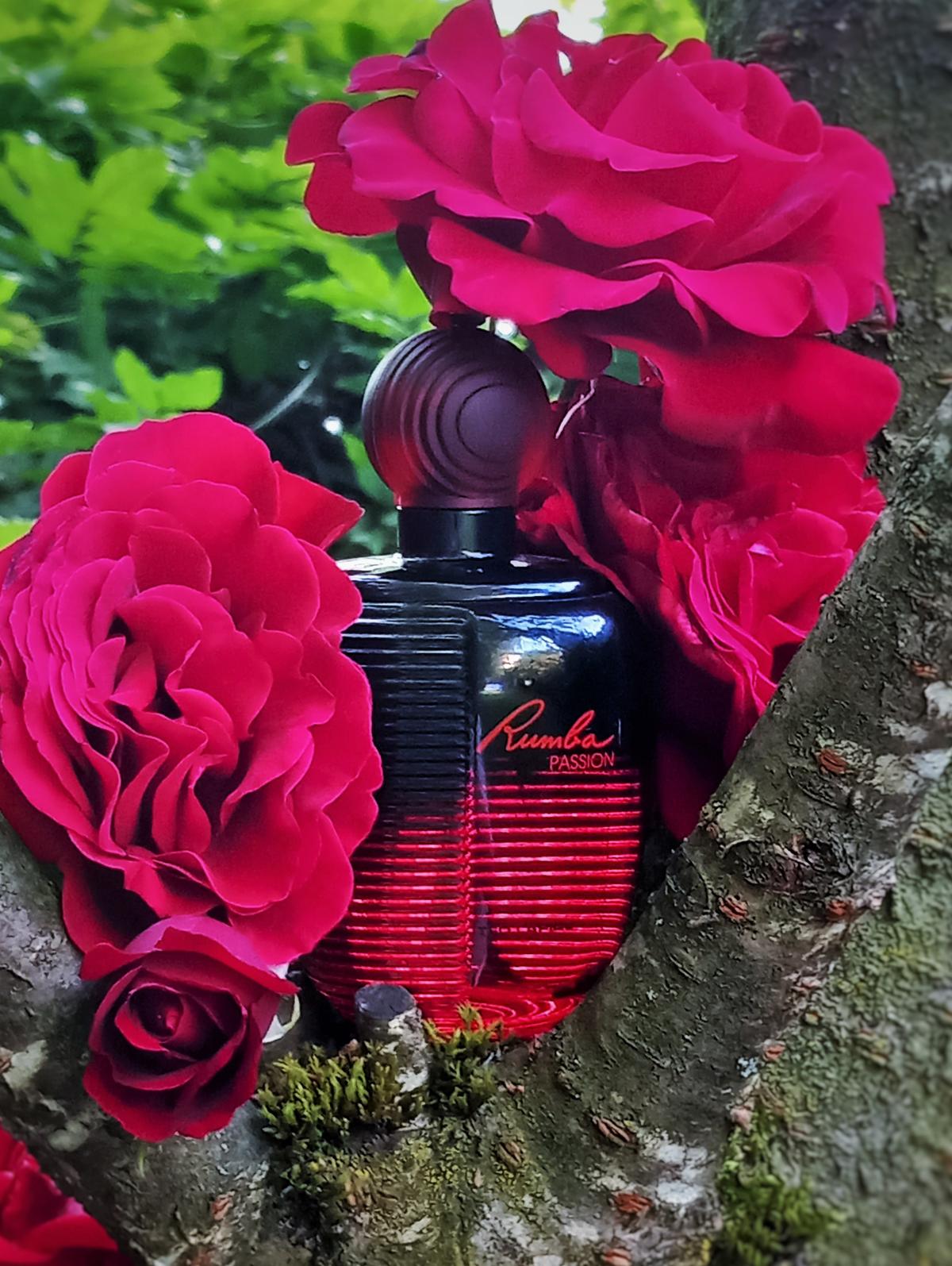 عطر ادکلن رومبا پشن تد لاپیدوس - Rumba Passion Ted Lapidus - بررسی، قیمت و خرید