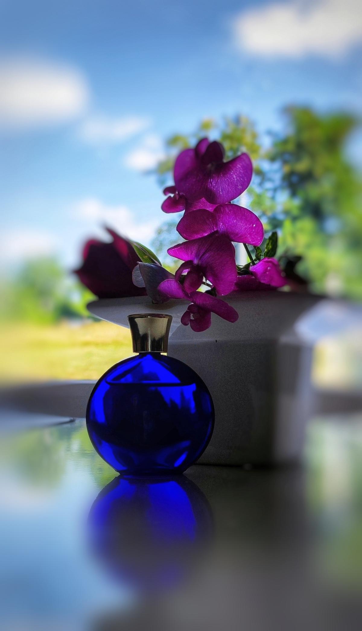 عطر ادکلن ژو غوین کوتوق وُرث - Je Reviens Couture Worth - بررسی، قیمت و خرید