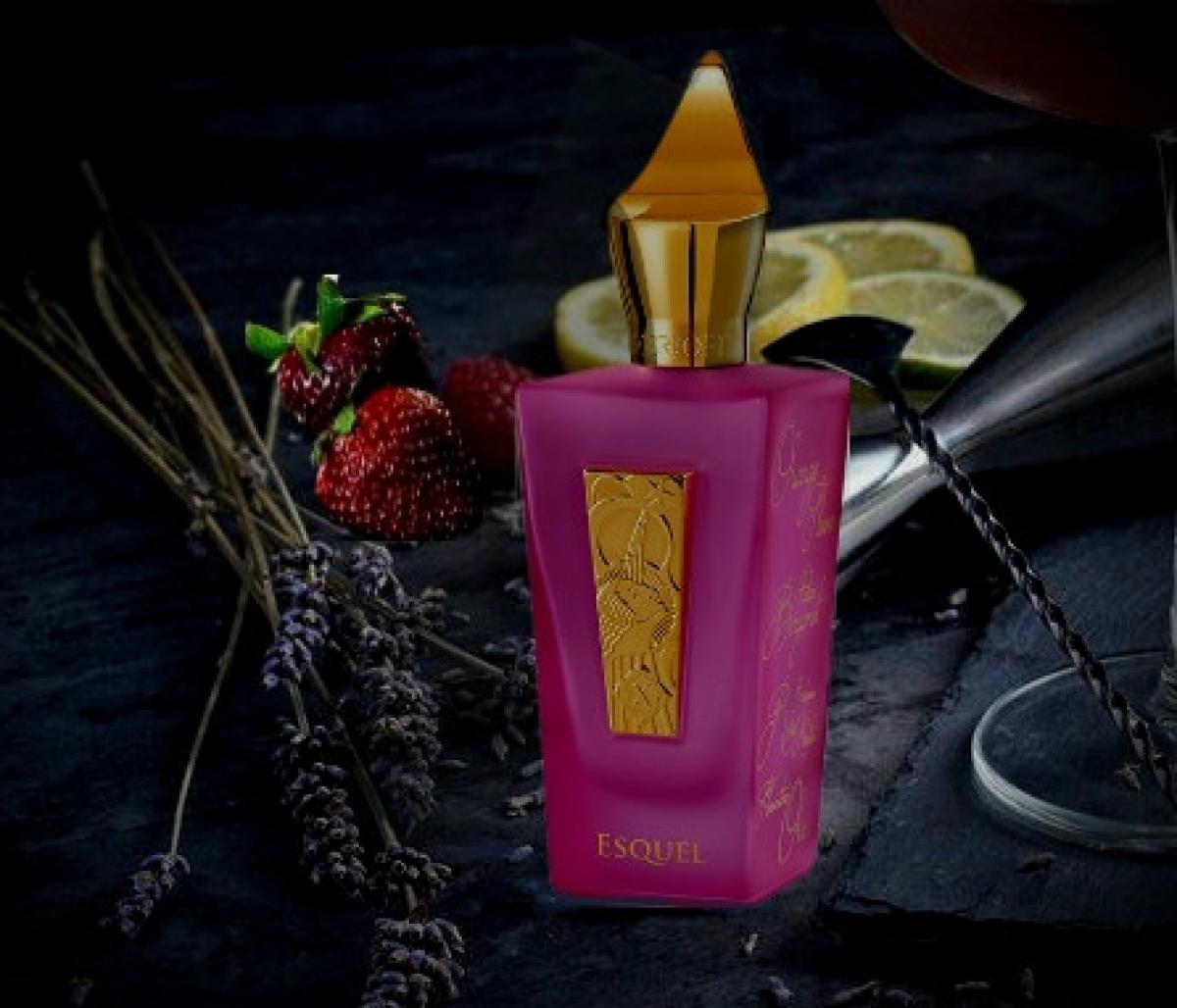 عطر ادکلن اسکل زرژاف - Esquel Xerjoff - بررسی، قیمت و خرید