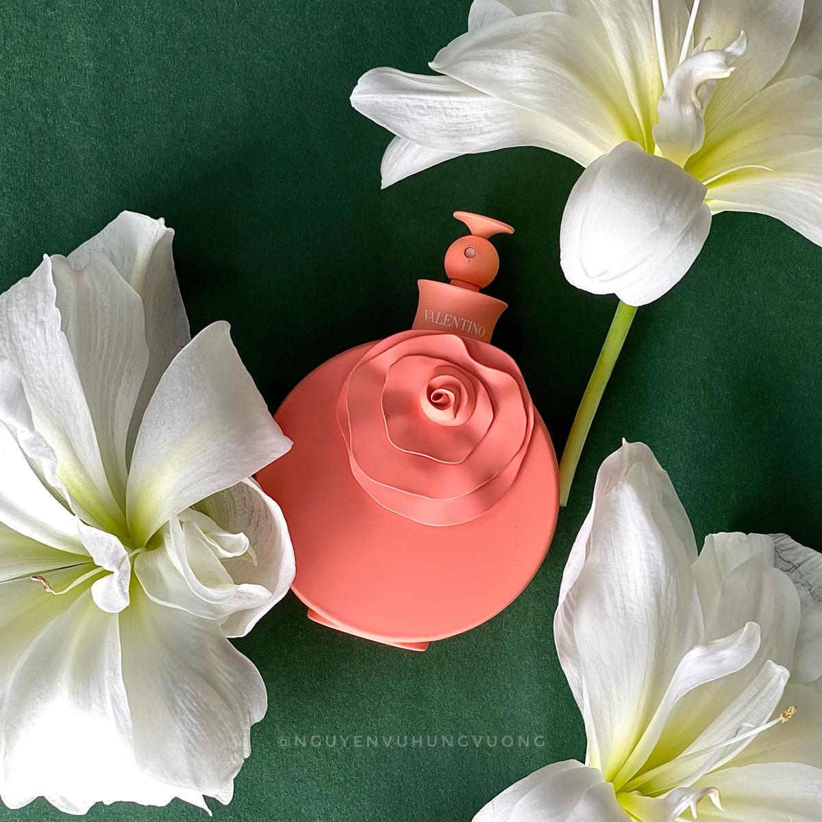 عطر ادکلن والنتینا بلاش والنتینو - Valentina Blush Valentino - بررسی، قیمت و خرید