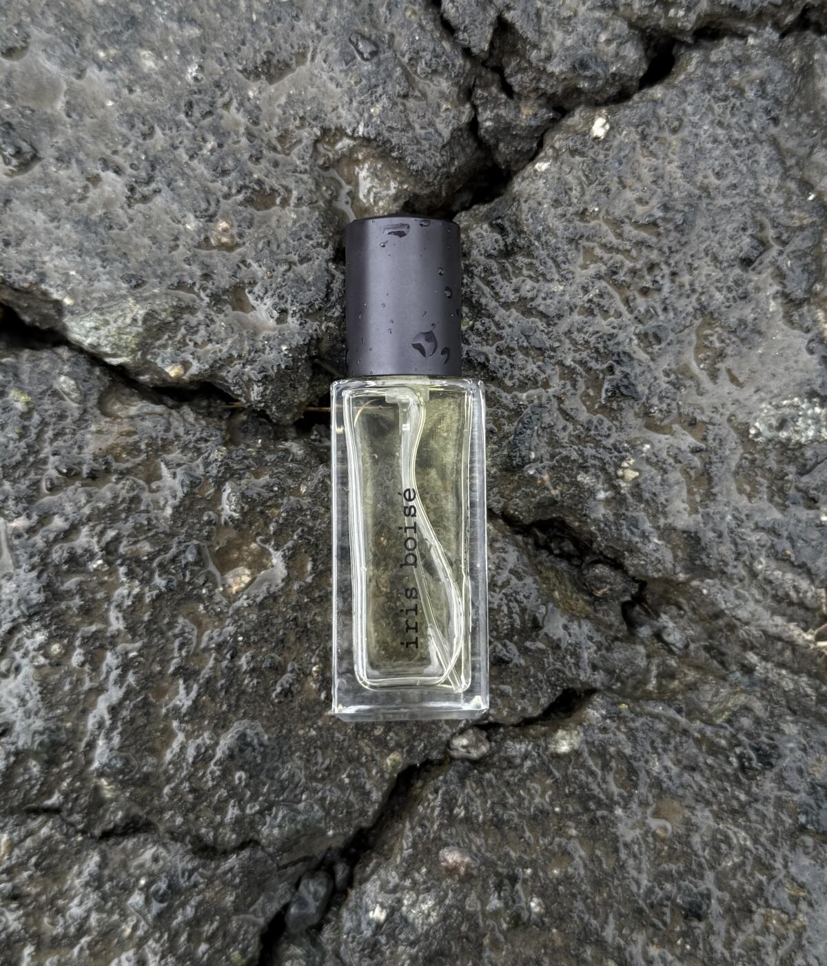 عطر ادکلن آیریس بویس وسکانیان پرفیومز - Iris Boisé Voskanian Parfums - بررسی، قیمت و خرید