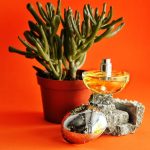 عطر ادکلن دی کی ان وای بی دلیشس سامر اسکوییز دانا کاران - DKNY Be Delicious Summer Squeeze Donna Karan - بررسی، قیمت و خرید