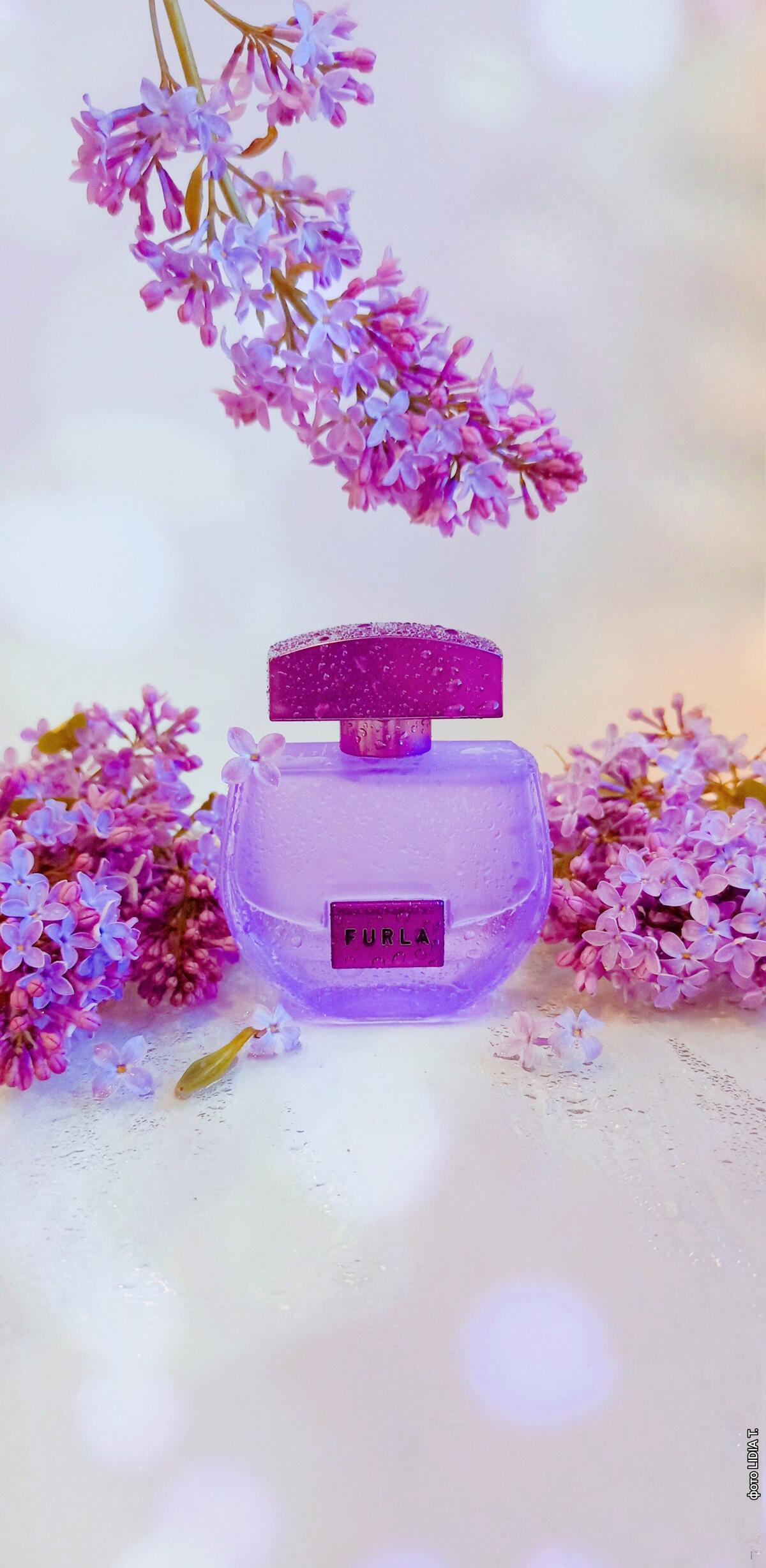 عطر ادکلن میستیکا فورلا - Mistica Furla - بررسی، قیمت و خرید