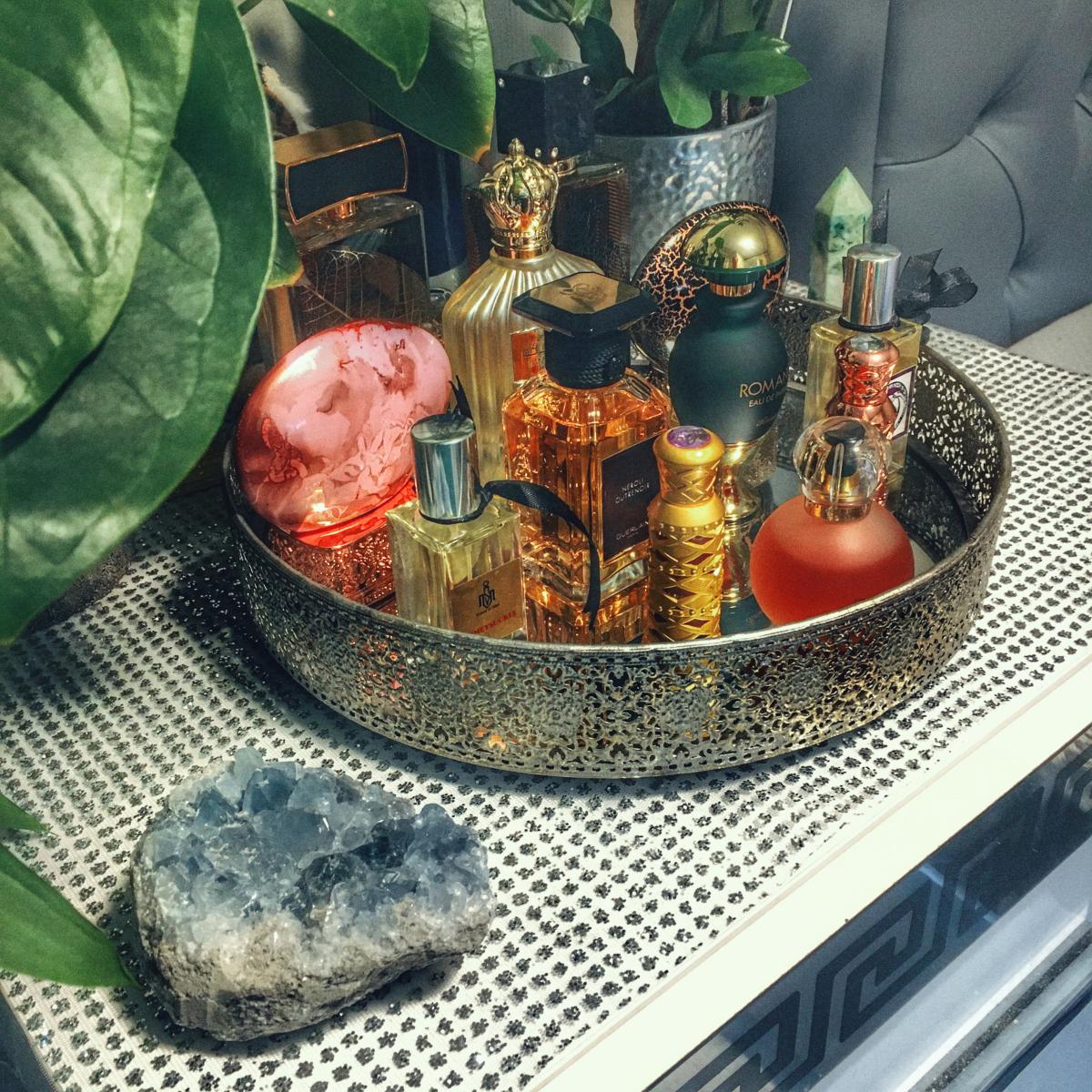 عطر ادکلن بلیسینگ سایلنس د هاوس آو عود - Blessing Silence The House of Oud - بررسی، قیمت و خرید