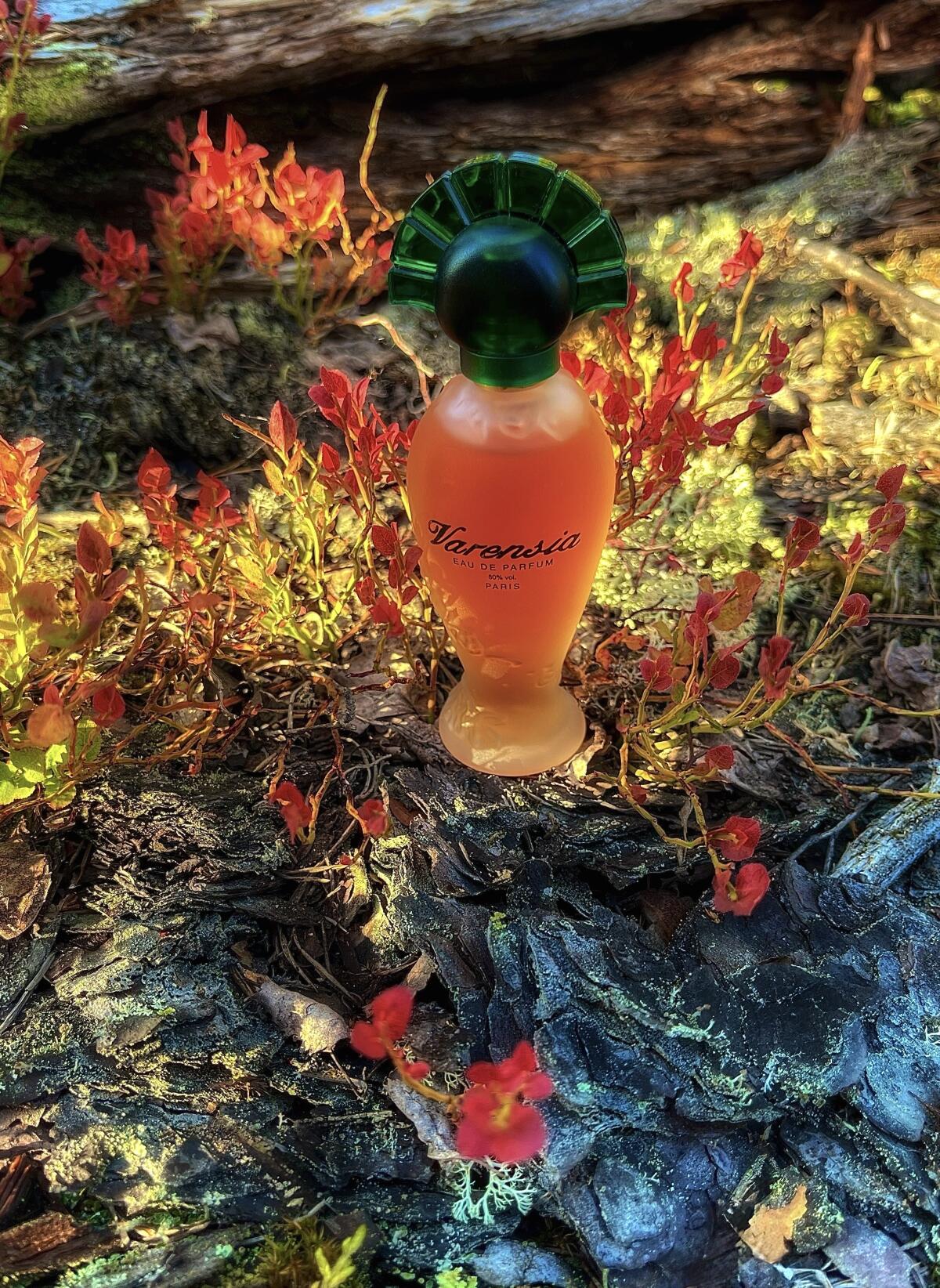 عطر ادکلن وارنسی اولریک دو وارنس - Varensia Ulric de Varens - بررسی، قیمت و خرید