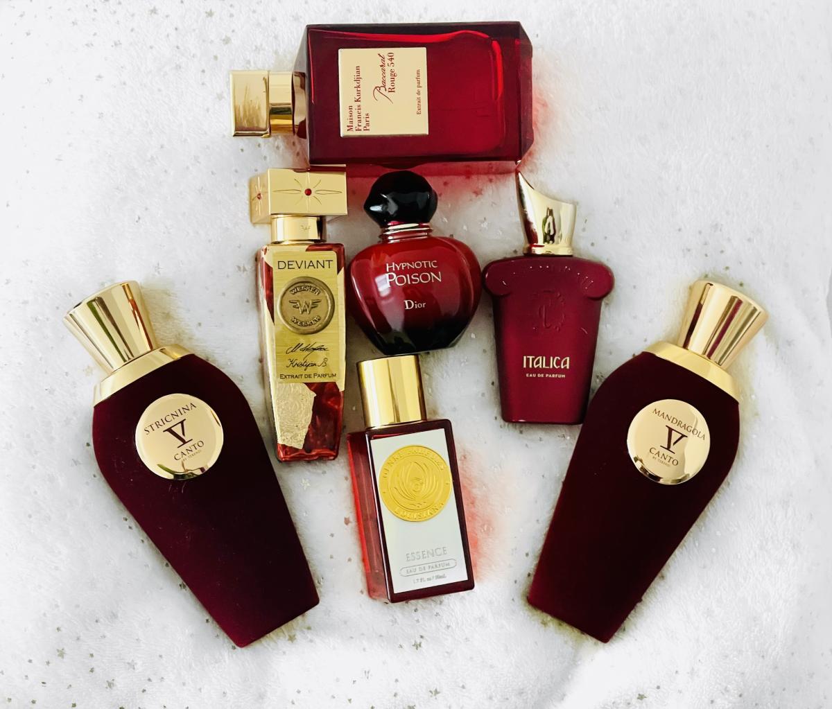 عطر ادکلن استریکنین وی کانتو - Stricnina V Canto - بررسی، قیمت و خرید