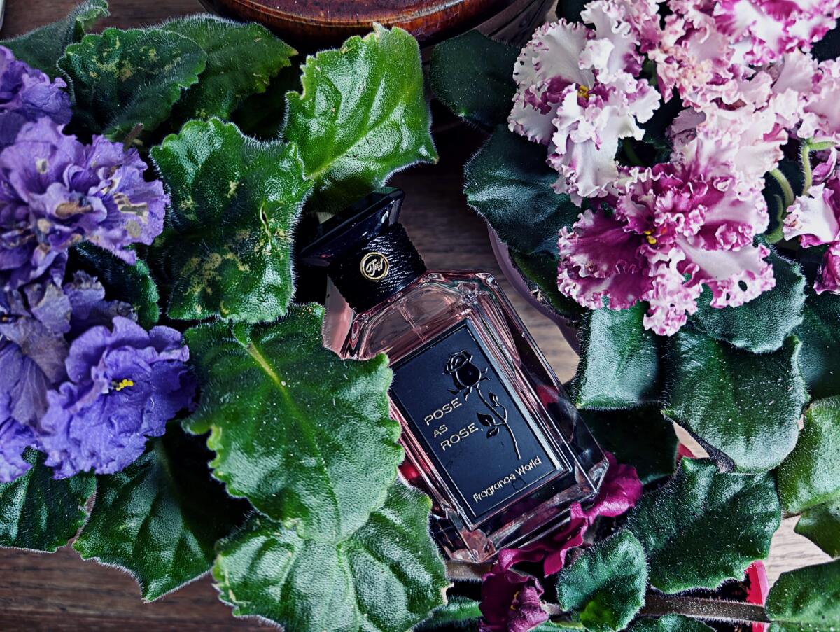عطر ادکلن پوز از روز فرگرنس وُرلد - Pose As Rose Fragrance World - بررسی، قیمت و خرید