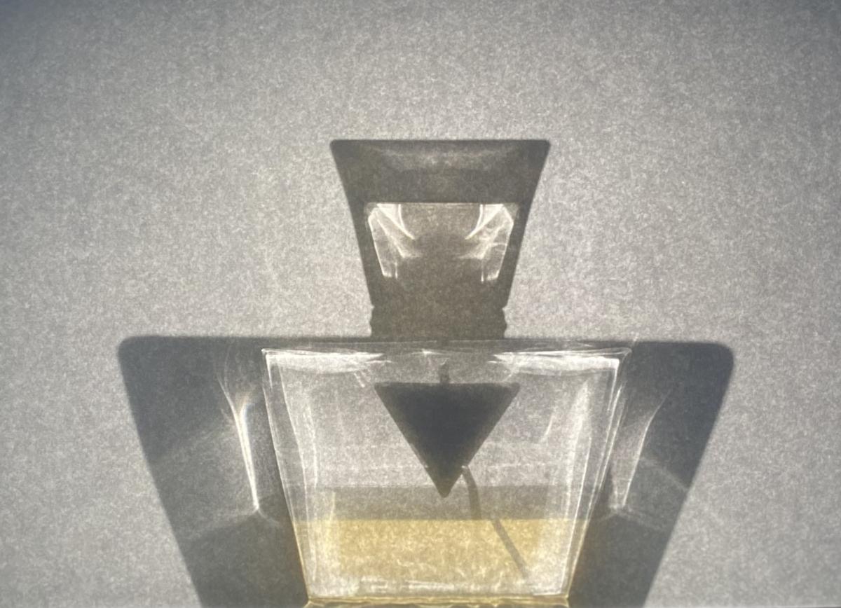 عطر ادکلن گس سیدیوس گس - Guess Seductive Guess - بررسی، قیمت و خرید
