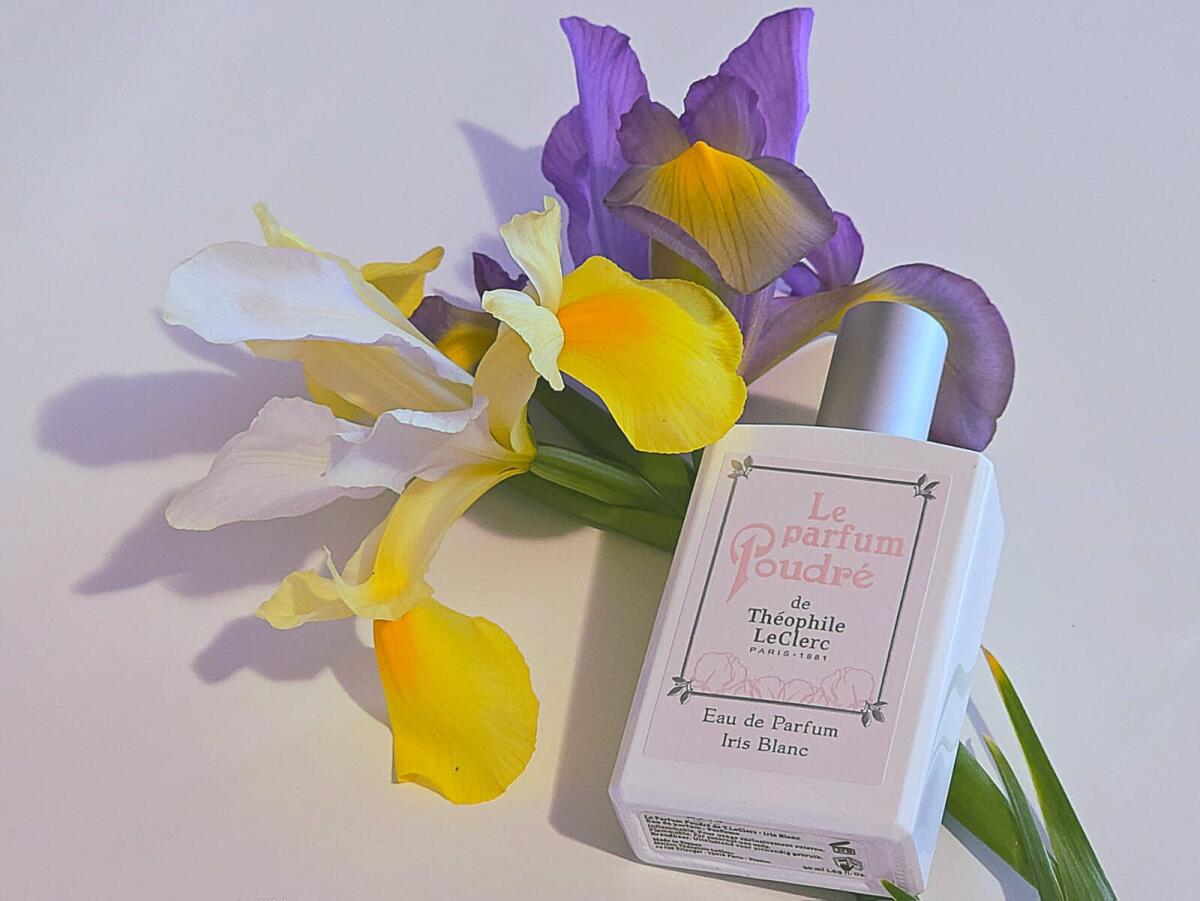 عطر ادکلن له پارفم پودره تئوفیل لکلرک - Le Parfum Poudré Théophile Leclerc - بررسی، قیمت و خرید