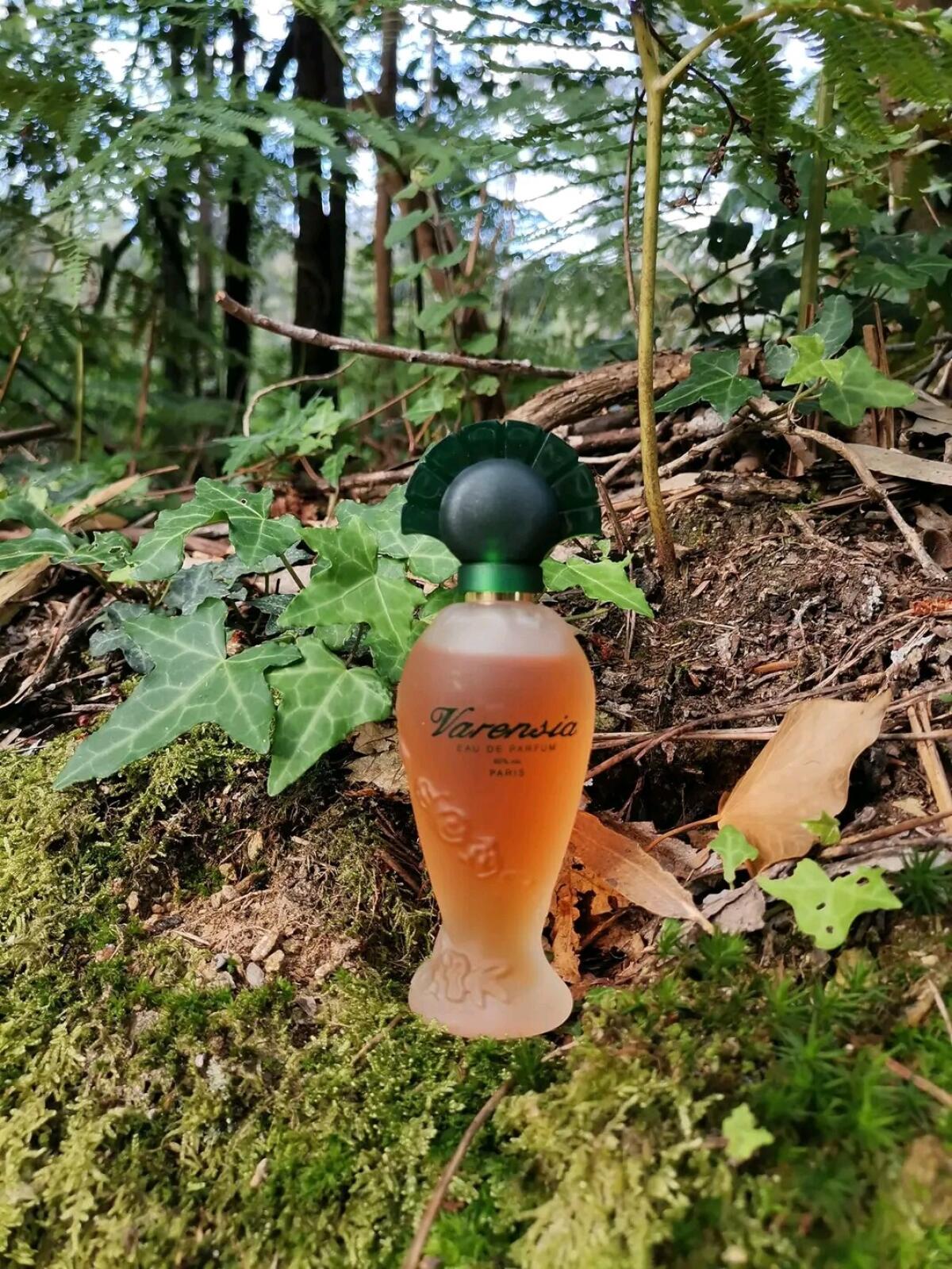 عطر ادکلن وارنسی اولریک دو وارنس - Varensia Ulric de Varens - بررسی، قیمت و خرید