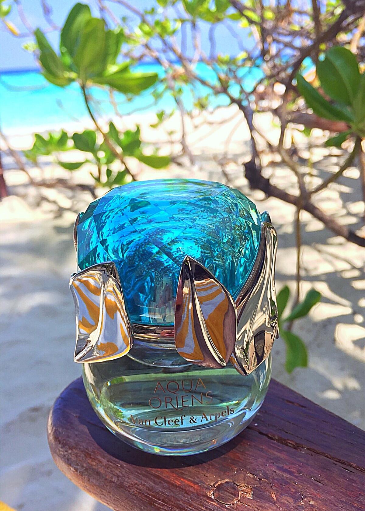 عطر ادکلن آکوا اورینز ون کلیف اَند آرپِلز - Aqua Oriens Van Cleef & Arpels - بررسی، قیمت و خرید