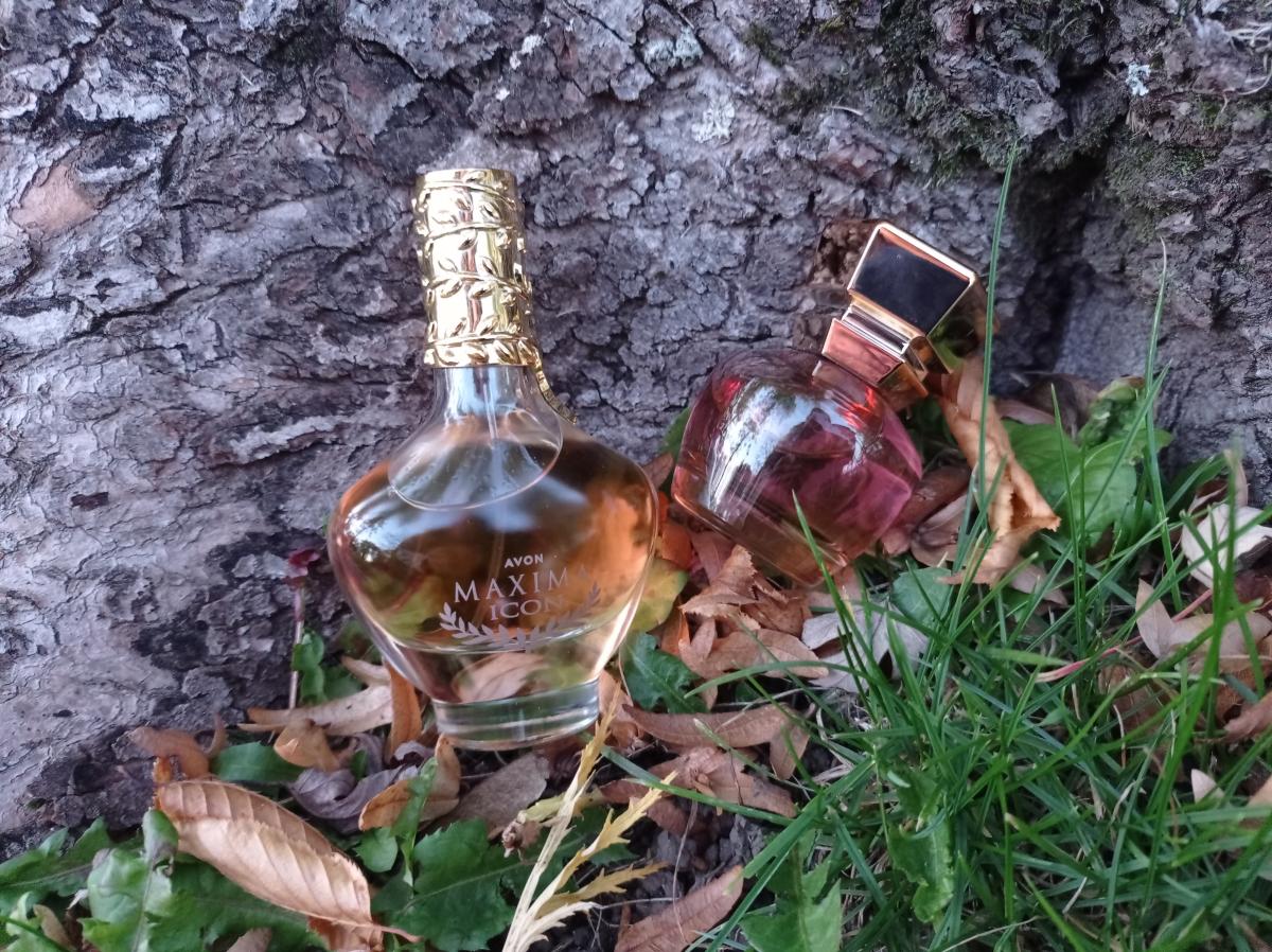 عطر ادکلن اوه! دی اوریجین توس - Oh! The Origin Tous - بررسی، قیمت و خرید