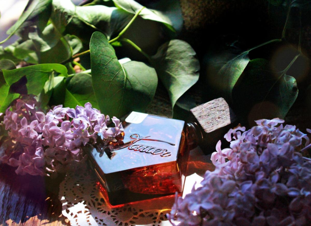 عطر ادکلن کاریلون پور آن آنژ تاور پرفیومز - Carillon pour un ange Tauer Perfumes - بررسی، قیمت و خرید