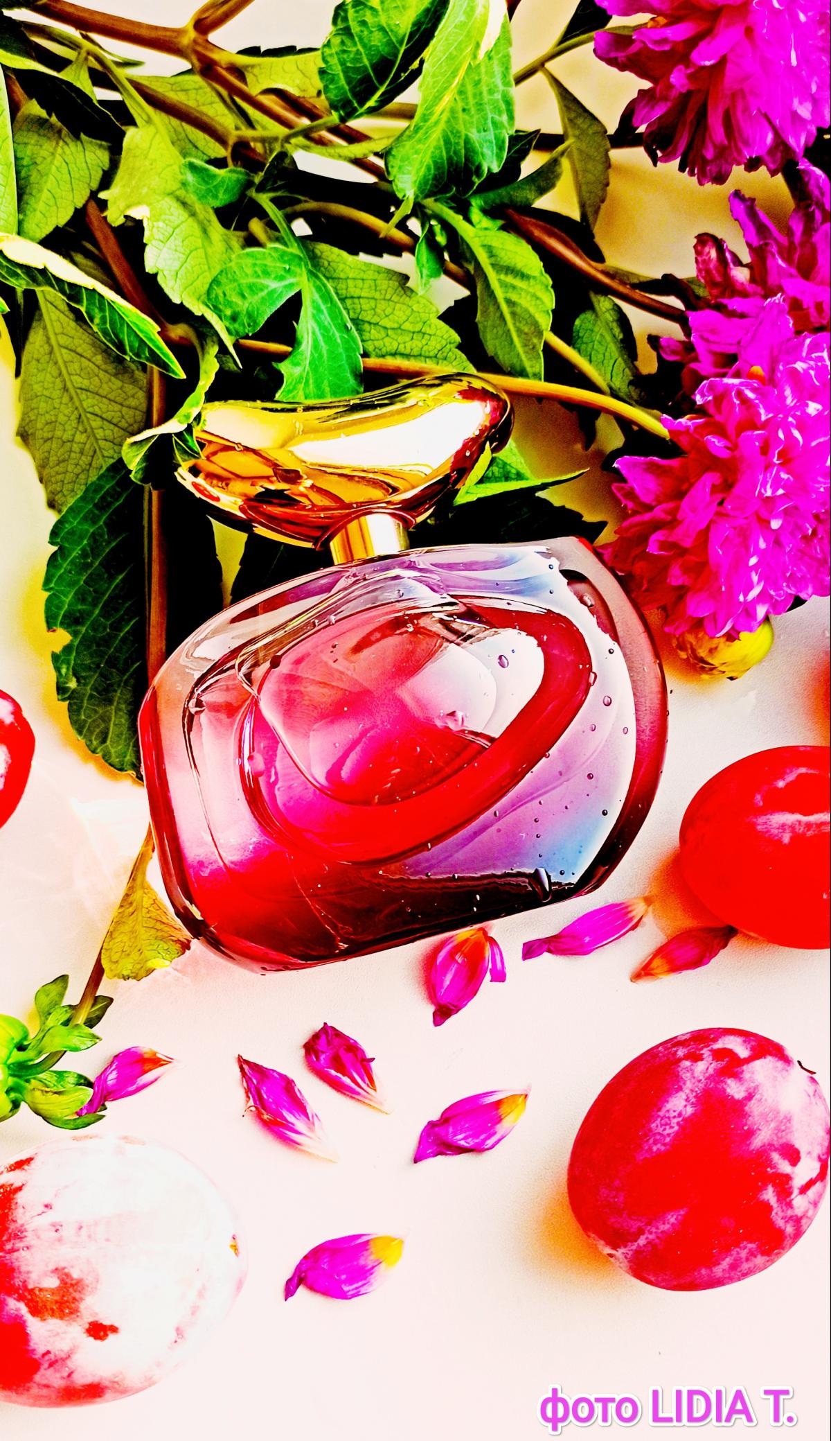 عطر ادکلن ایلومیناره اینتنسا وینس کاموتو - Illuminare Intensa Vince Camuto - بررسی، قیمت و خرید