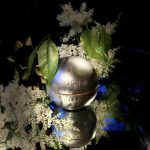 عطر ادکلن باس این موشن هوگو باس - Boss in Motion Hugo Boss - بررسی، قیمت و خرید