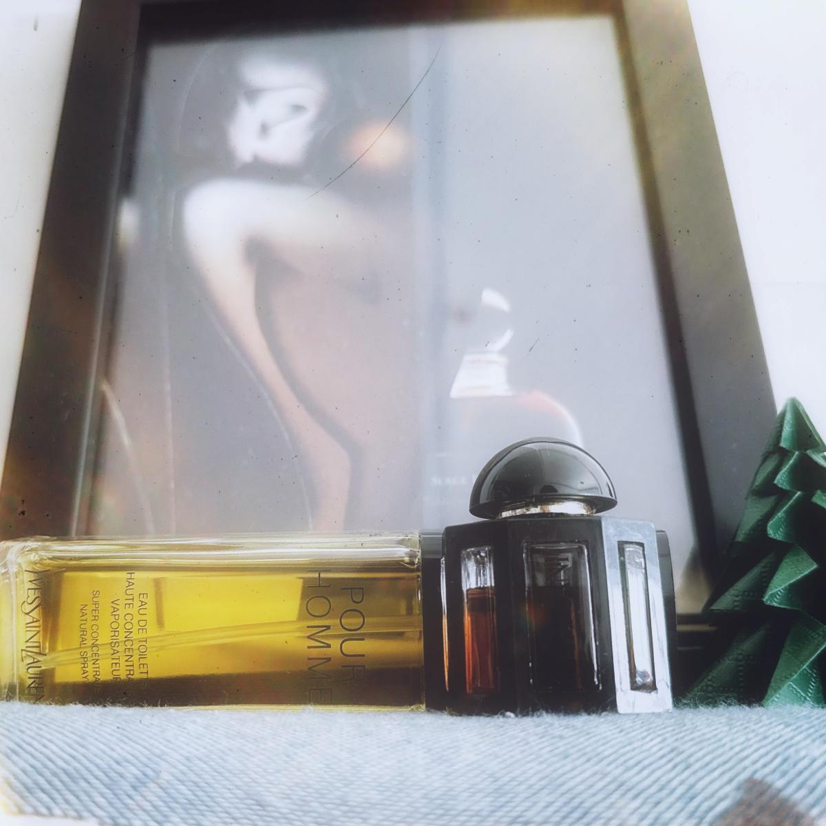 عطر ادکلن ایو سن لوران پور هوم اوت کنسانتره‌شان ایو سن لوران - Yves Saint Laurent Pour Homme Haute Concentration Yves Saint Laurent - بررسی، قیمت و خرید