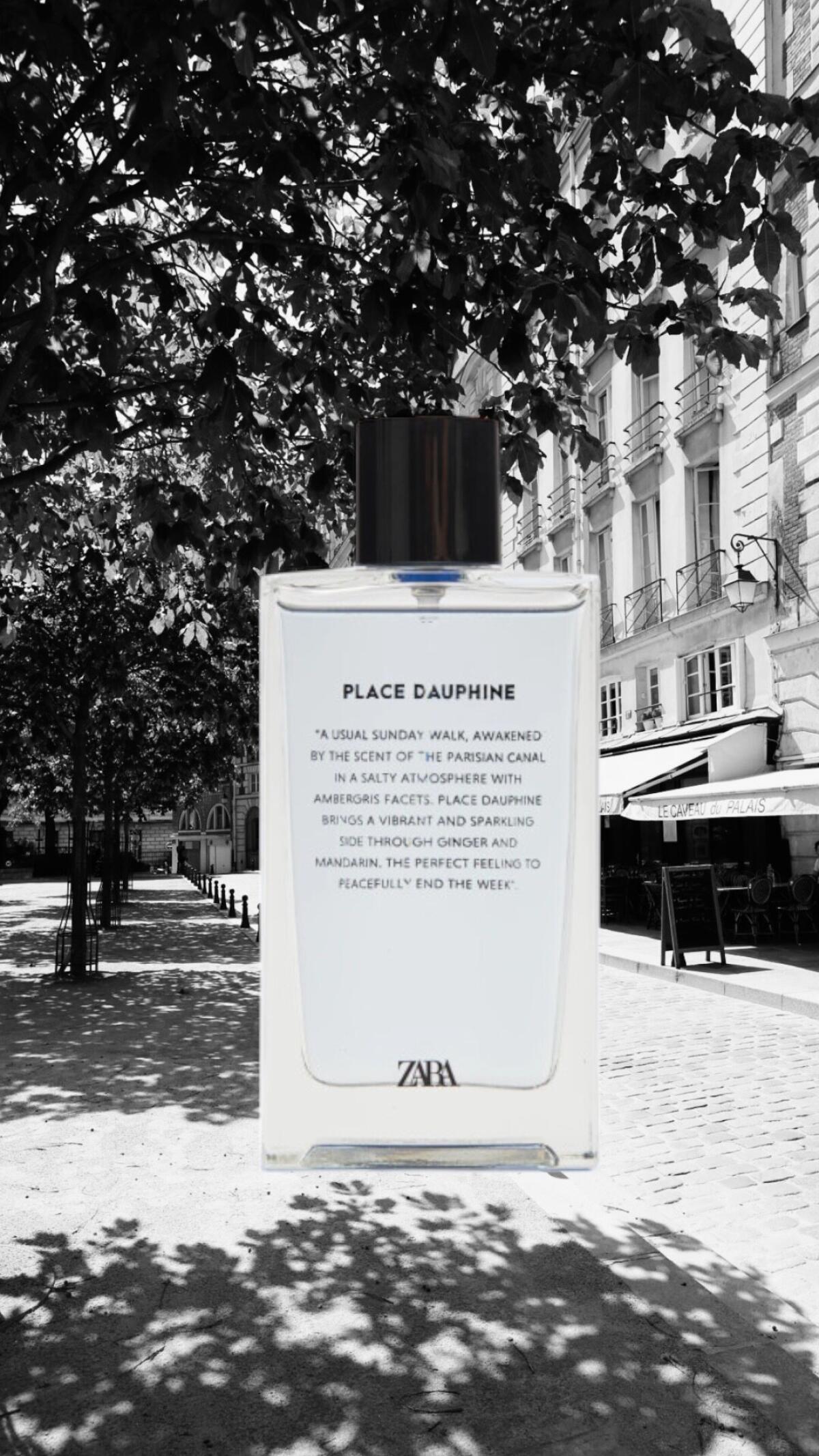 عطر ادکلن پلس دوفین زَرا - Place Dauphine Zara - بررسی، قیمت و خرید
