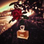 عطر ادکلن میس دیور دیور - Miss Dior Dior - بررسی، قیمت و خرید