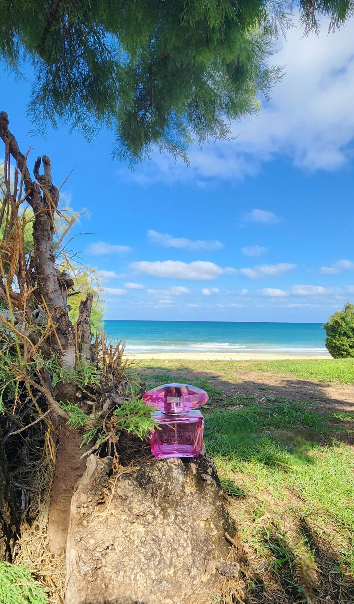 عطر ادکلن برایت کریستال ابسلو ورساچه - Bright Crystal Absolu Versace - بررسی، قیمت و خرید