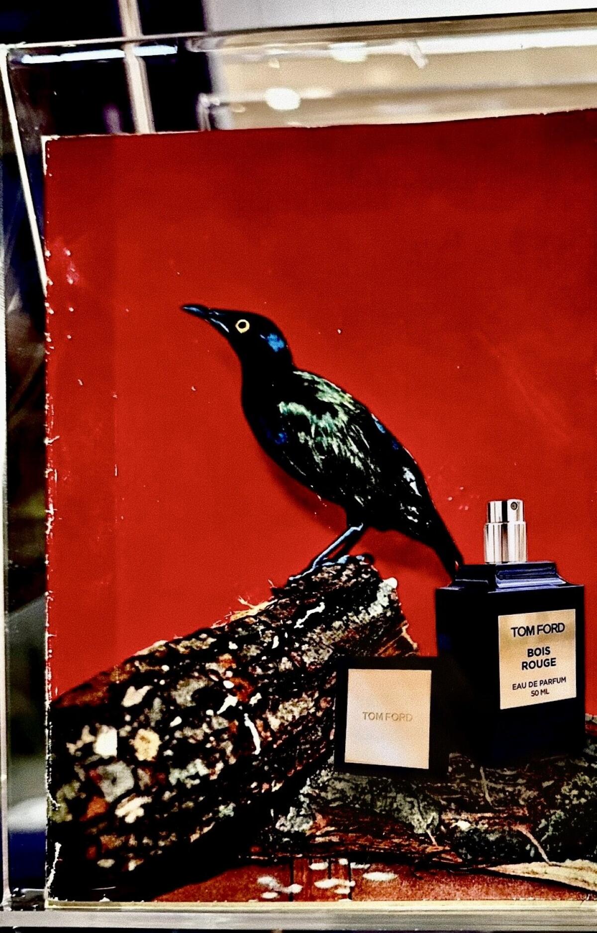 عطر ادکلن بواژو تام فورد - Bois Rouge Tom Ford - بررسی، قیمت و خرید