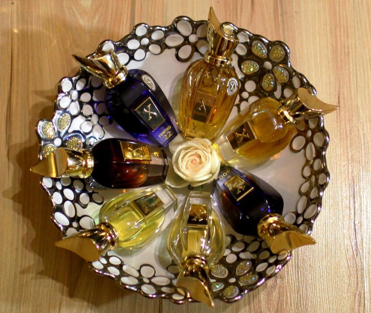 عطر ادکلن ریچوود زرژوف - Richwood Xerjoff - بررسی، قیمت و خرید