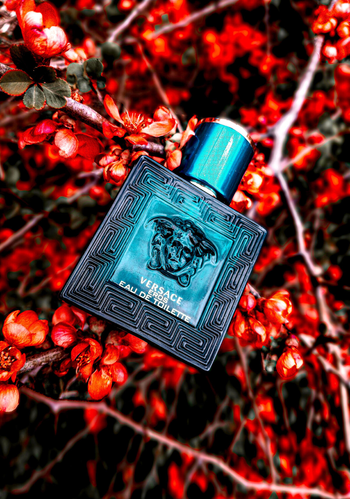 عطر ادکلن ایروس ورساچه - Eros Versace - بررسی، قیمت و خرید