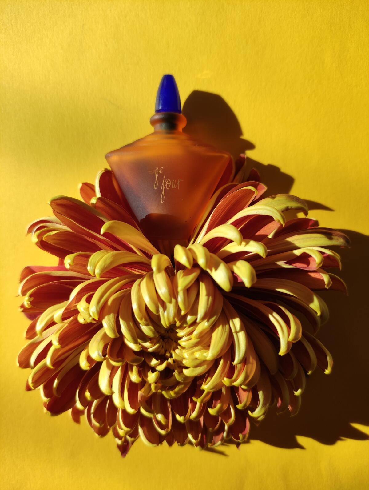 عطر ادکلن هشتم ژور ایو روشه - 8e Jour Yves Rocher - بررسی، قیمت و خرید