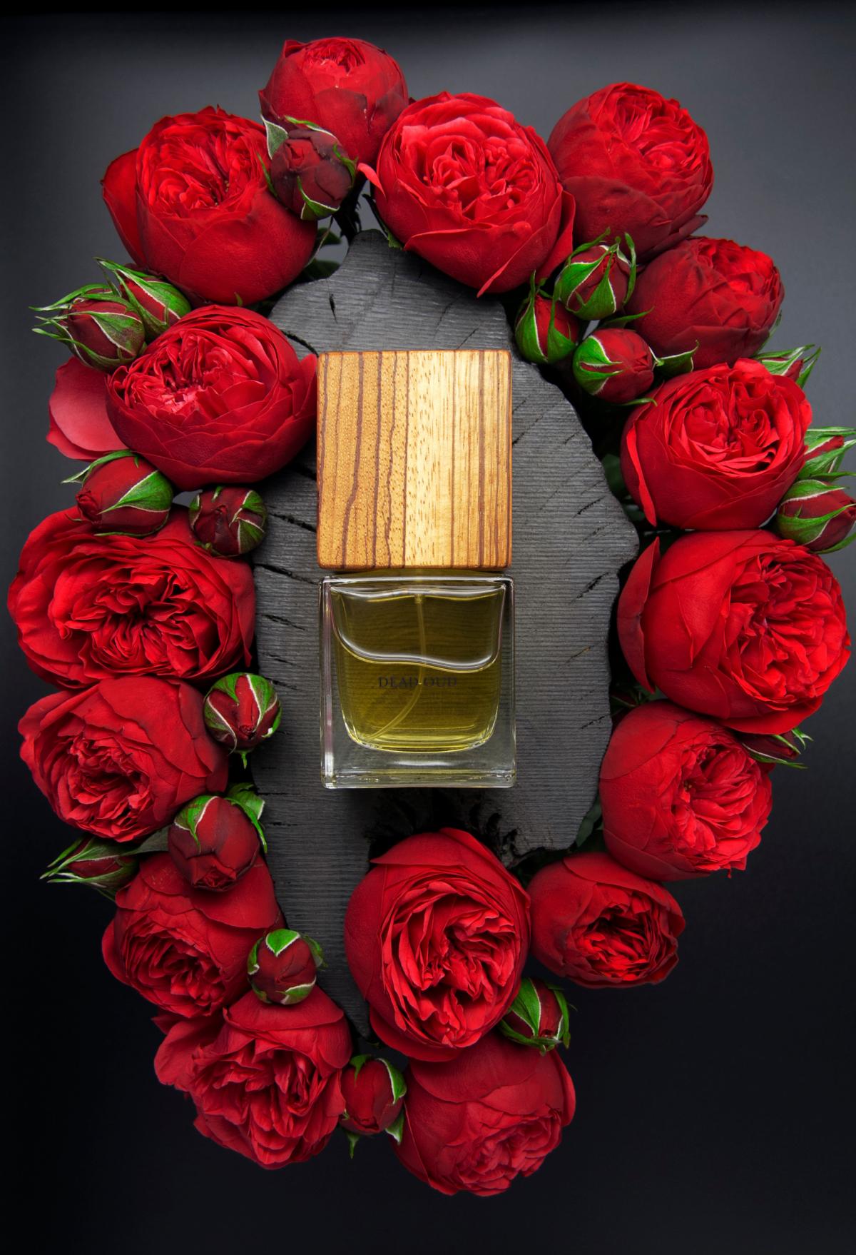 عطر ادکلن دید عود وی دات - Dead Oud Vdot - بررسی، قیمت و خرید