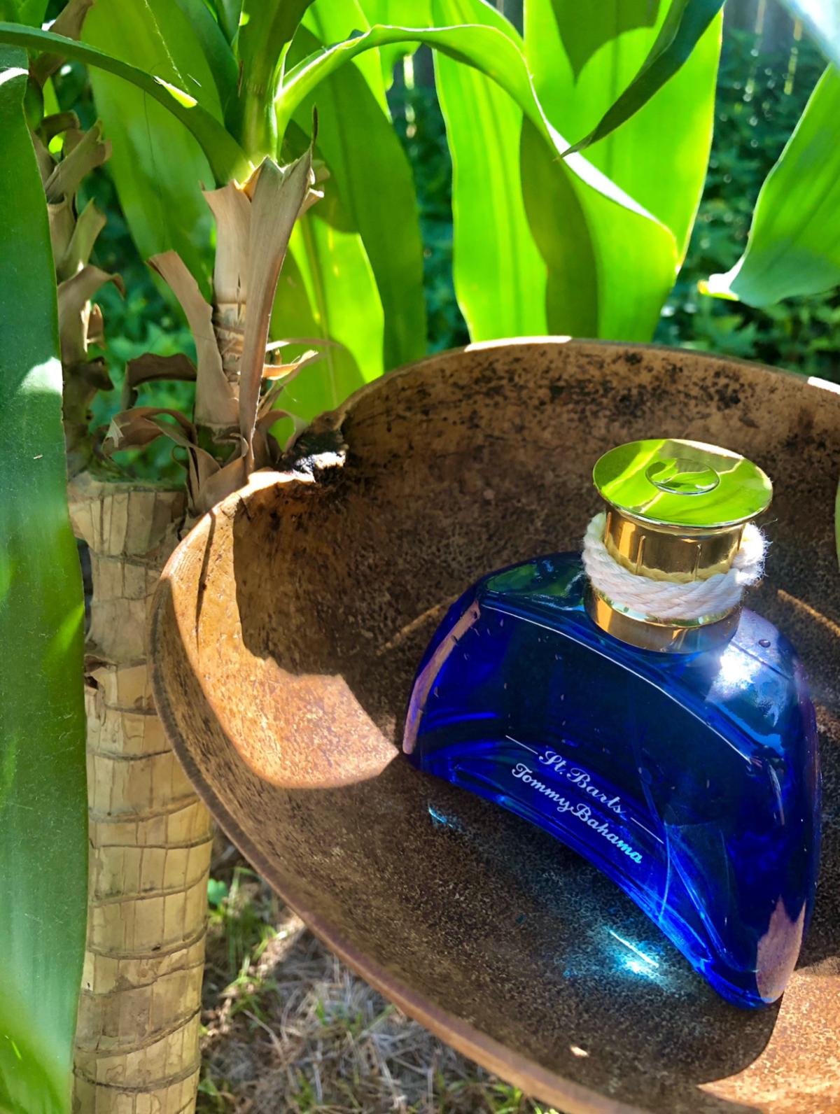 عطر ادکلن سنت بارتس من تامی باهاما - St. Barts Men Tommy Bahama - بررسی، قیمت و خرید