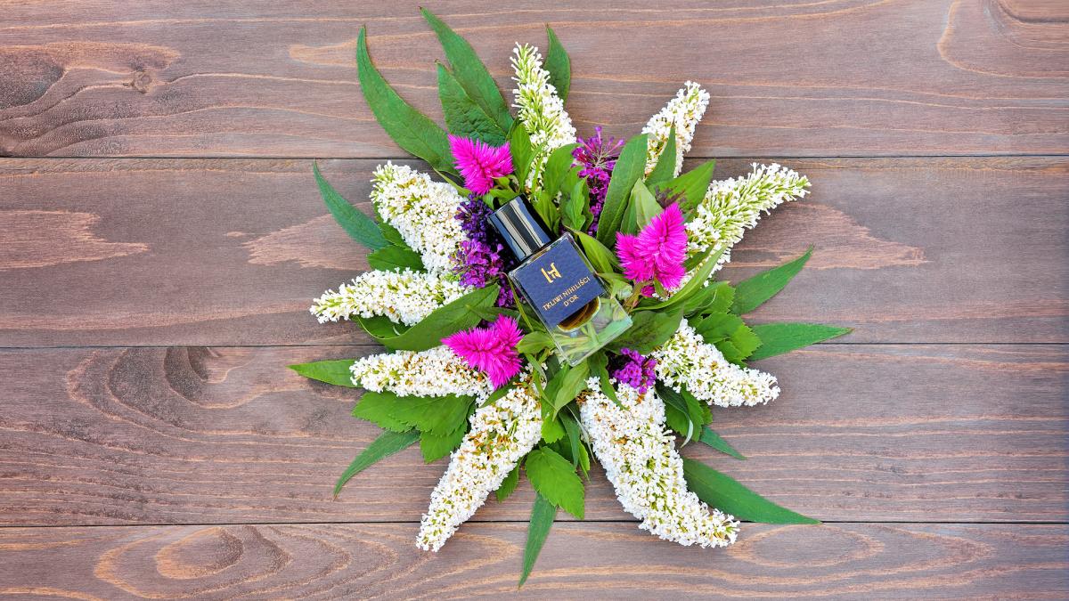 عطر ادکلن دور تکلیوی نیهیلیستی - D'OR Tkliwi Nihilisci - بررسی، قیمت و خرید