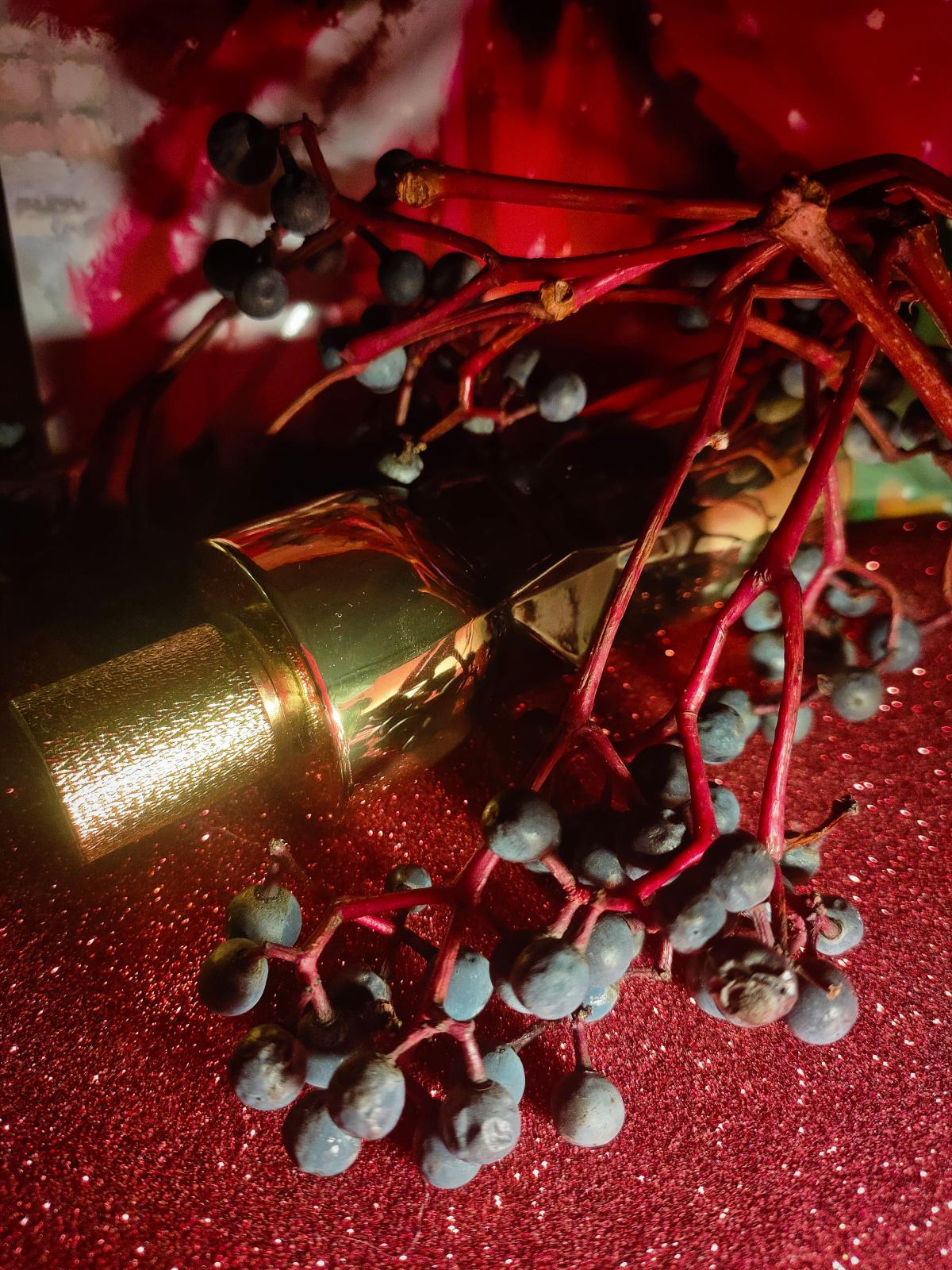 عطر ادکلن مانیفستو له پرفیوم ایو سن لوران - Manifesto Le Parfum Yves Saint Laurent - بررسی، قیمت و خرید