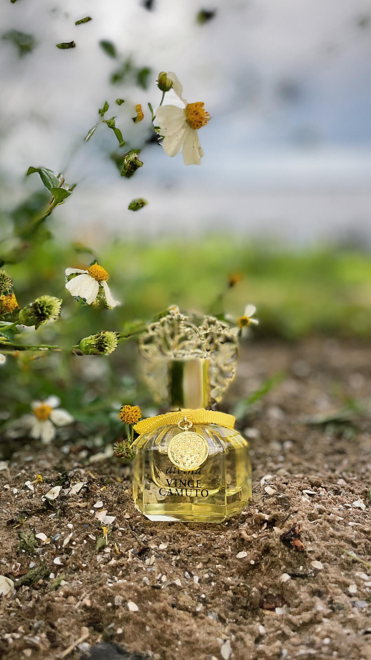 عطر ادکلن دیویونا ونس کاموتو - Divina Vince Camuto - بررسی، قیمت و خرید