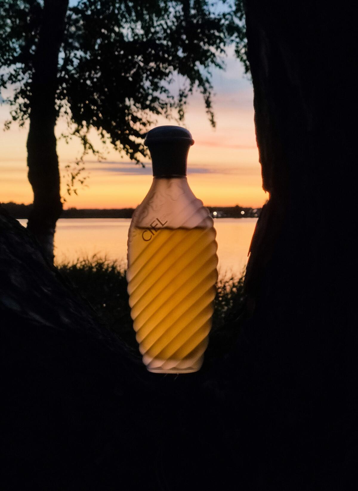 عطر ادکلن سیِل اولریک دو وارن - Ciel Ulric de Varens - بررسی، قیمت و خرید