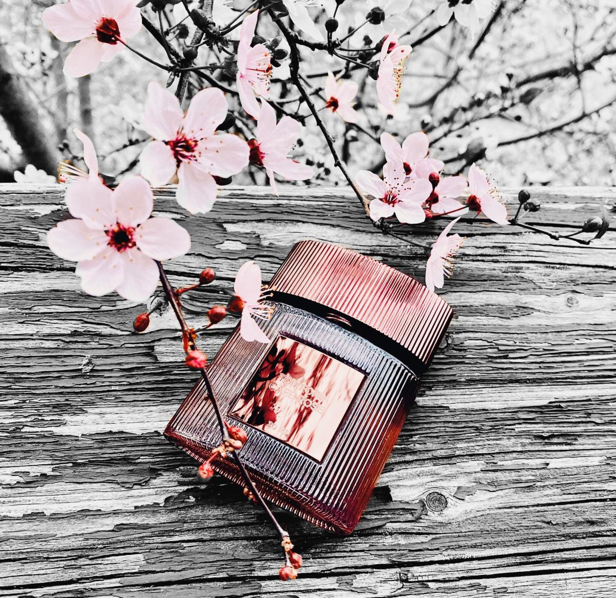 عطر ادکلن کافه رز تام فورد - Café Rose (2023) Tom Ford - بررسی، قیمت و خرید