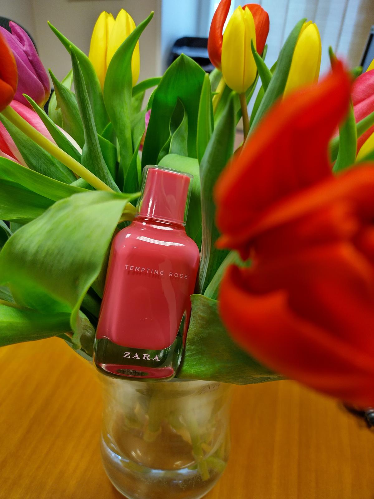عطر ادکلن تمپتینگ رز زارا - Tempting Rose Zara - بررسی، قیمت و خرید
