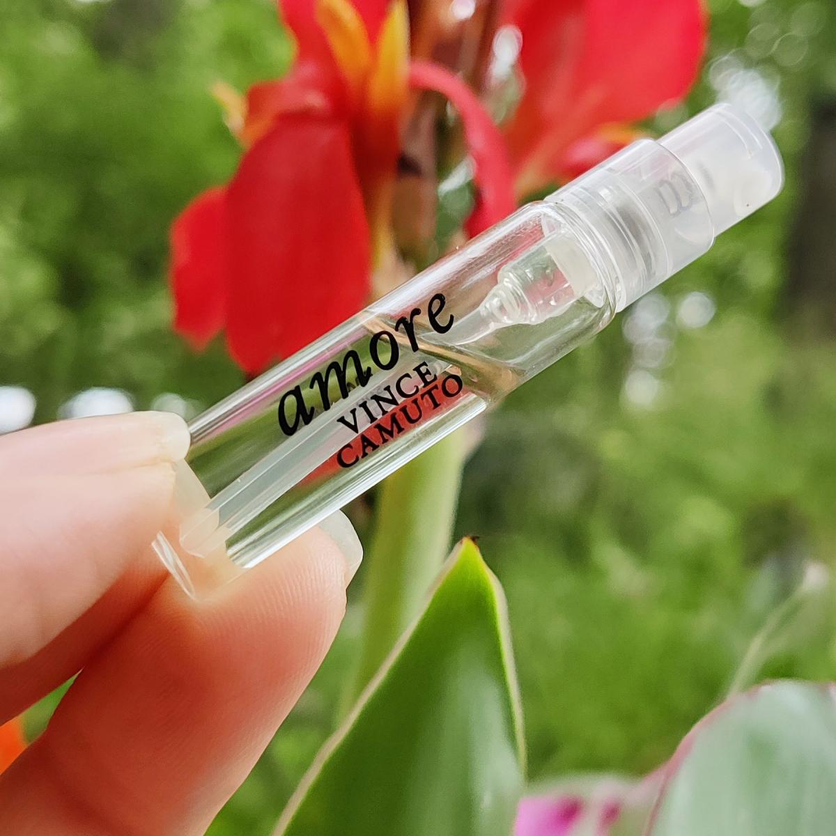 عطر ادکلن آمور وینس کاموتو - Amore Vince Camuto - بررسی، قیمت و خرید