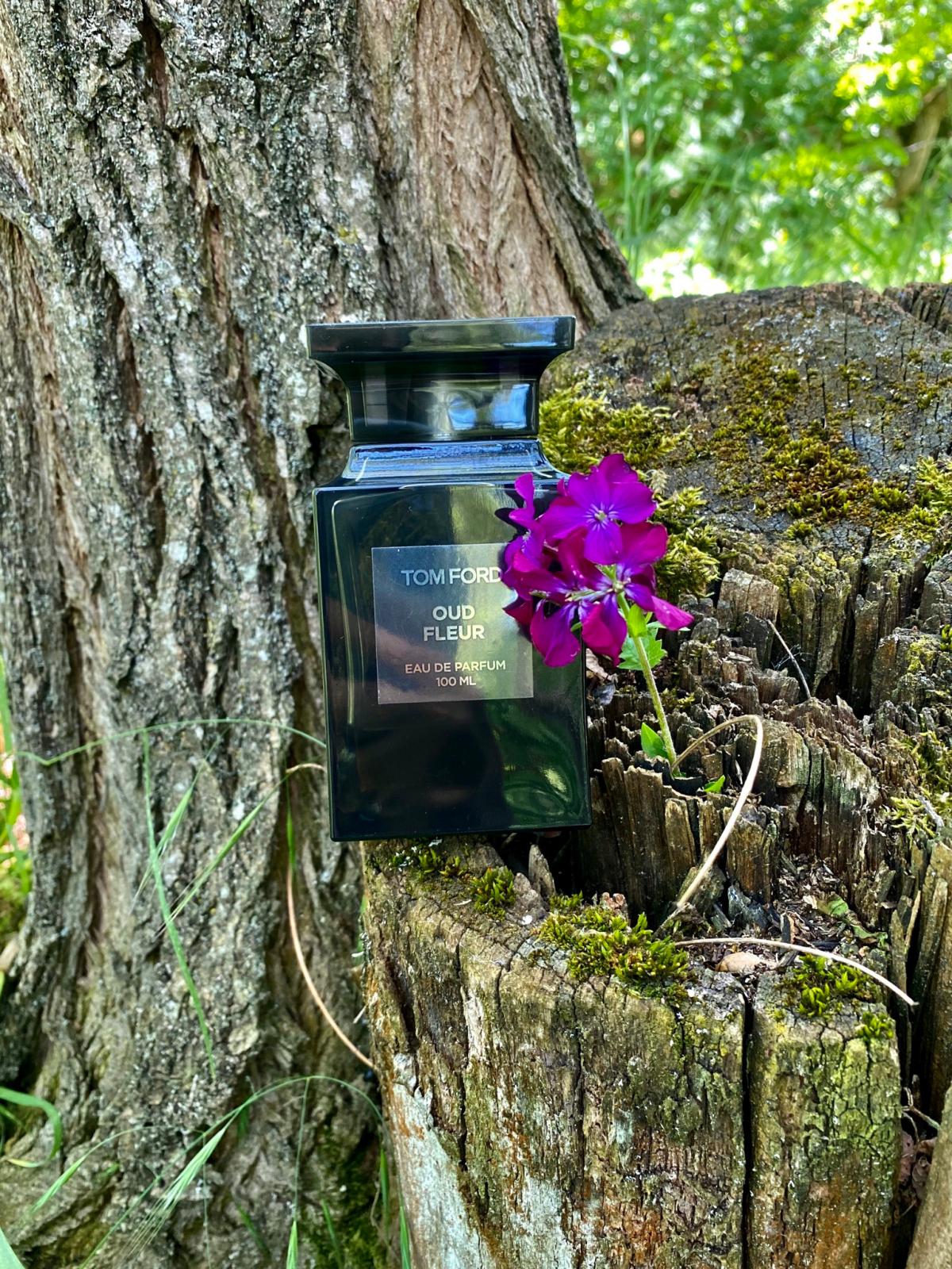 عطر ادکلن عود فلور تام فورد - Oud Fleur Tom Ford - بررسی، قیمت و خرید